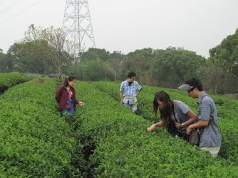 319918_293269030685649_970592001_n