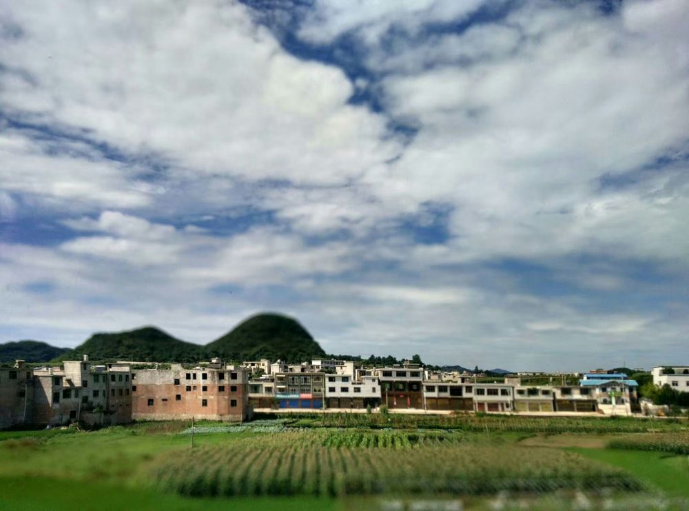 风景