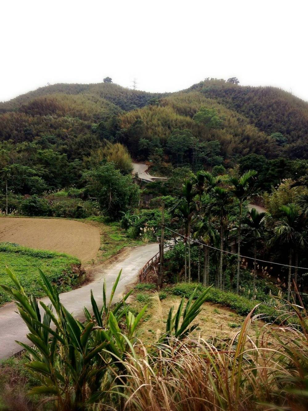 %e9%99%84%e5%9c%96%e4%ba%94