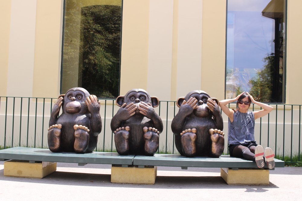 不看不聽不想我只跟隨心的感覺走