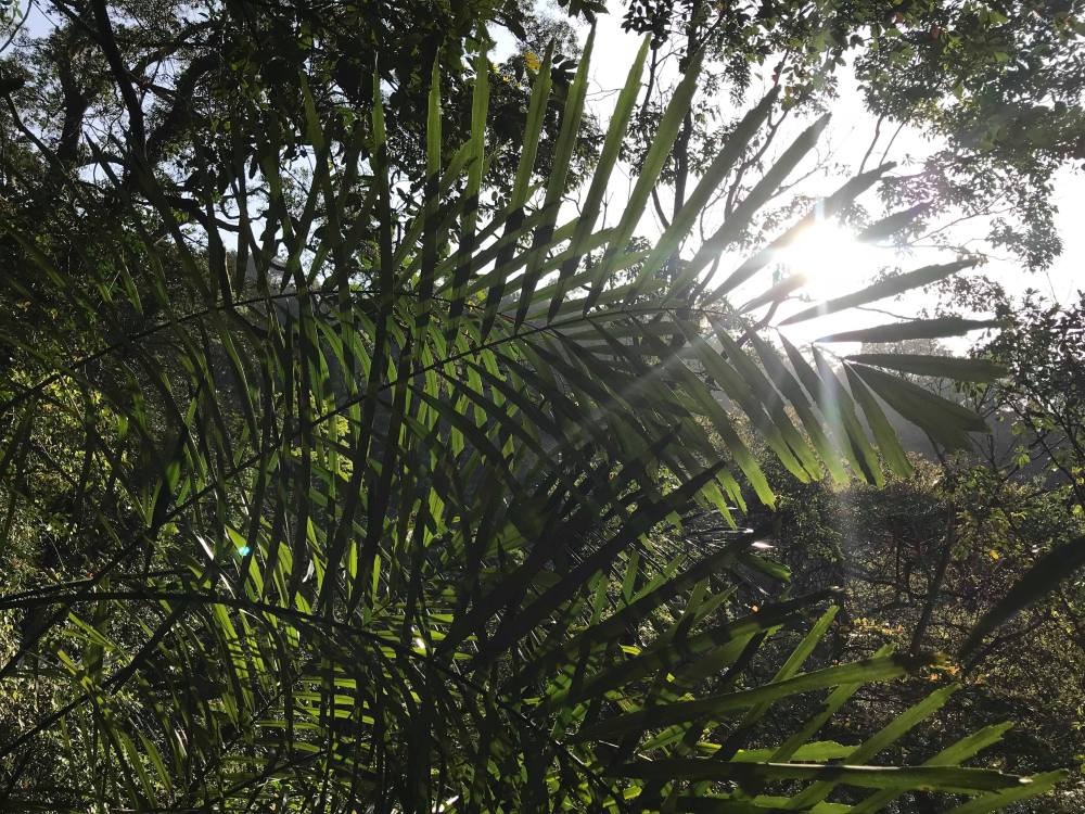 29681142_547256675673550_889251724_o