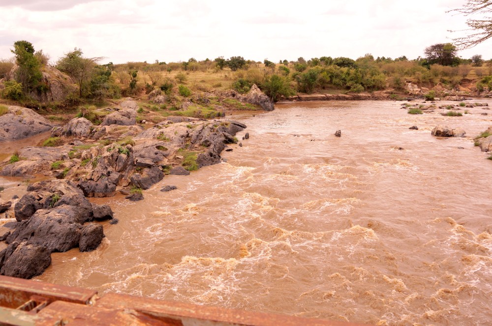 通常看牛羚渡河的 Mara river, 可惜今天沒有