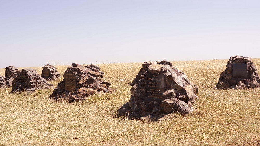 Shot by ...... FUUCCCKKK !!!