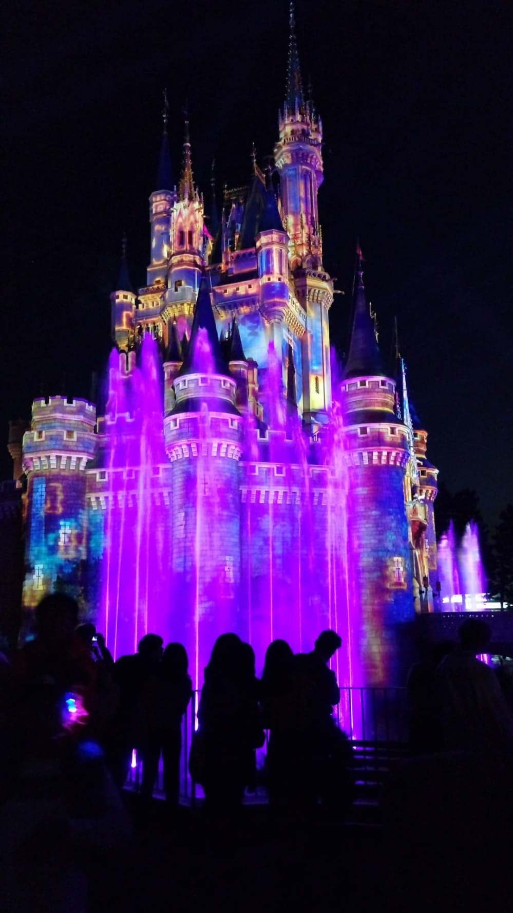 48380215_1477127312417281_8895737831138263040_n