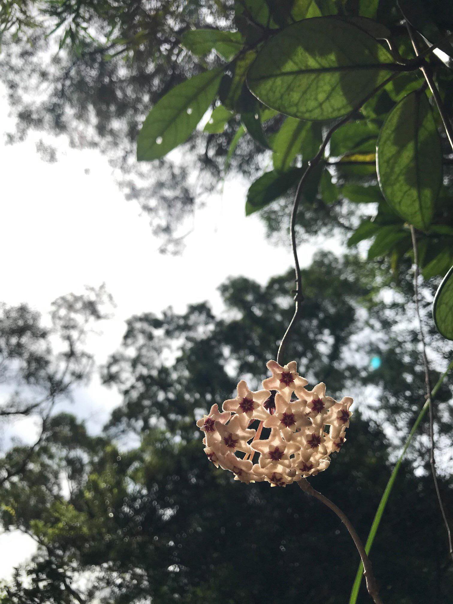 72052242_975514912782096_4242562368501972992_n