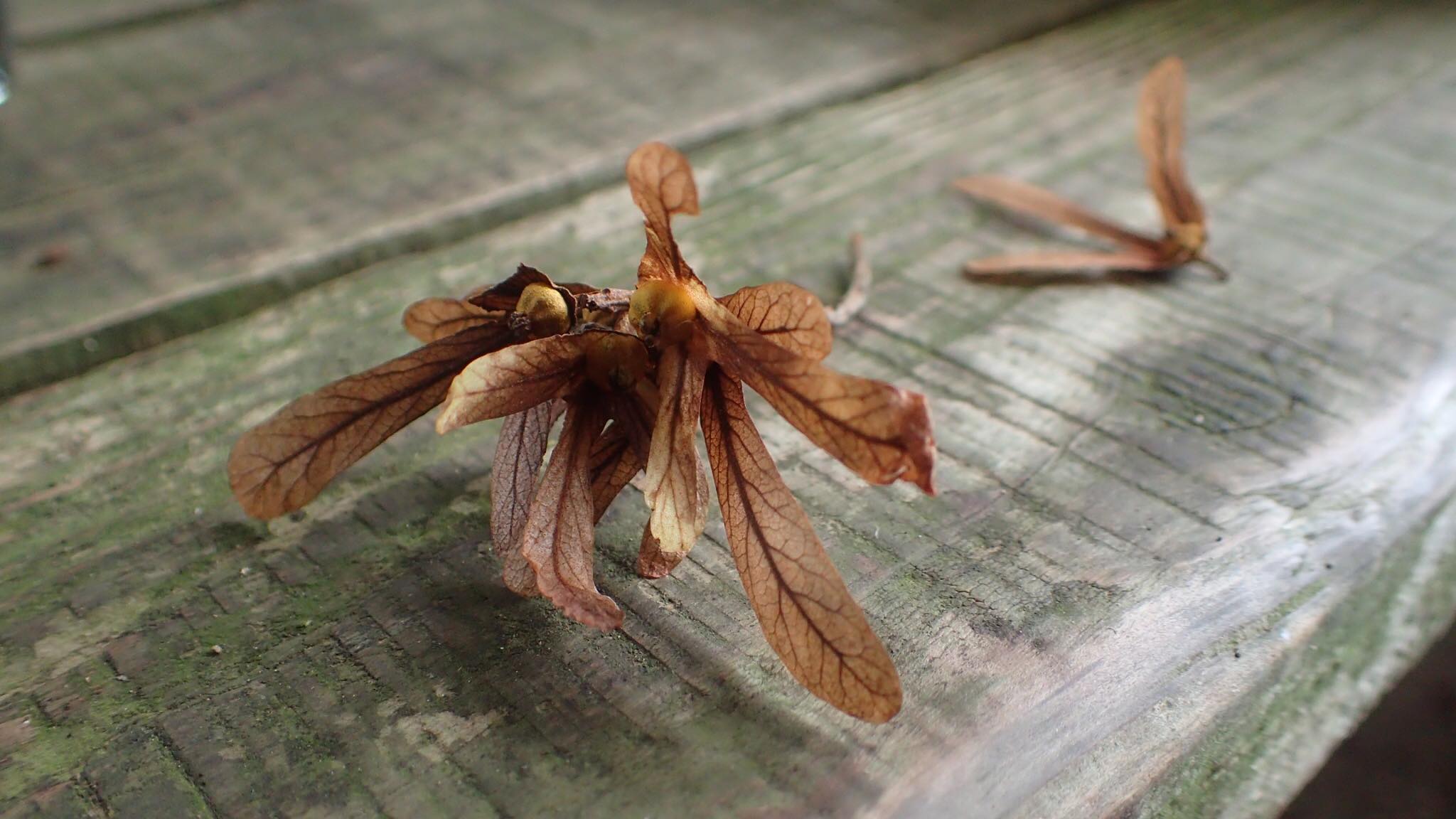 72830155_2146449838992139_5269947992000954368_n