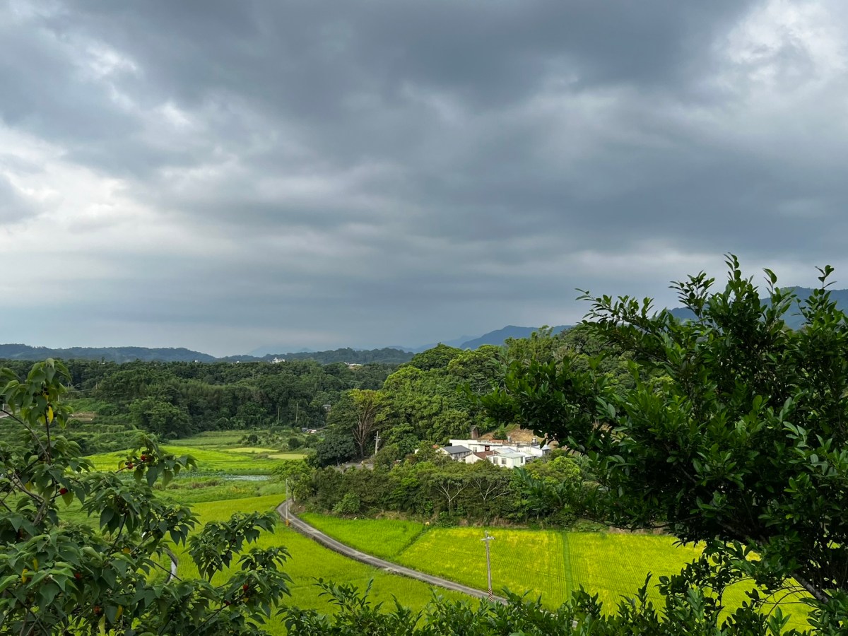 小暑：漫步龜山下～峨眉溪水稻的刻畫藝術