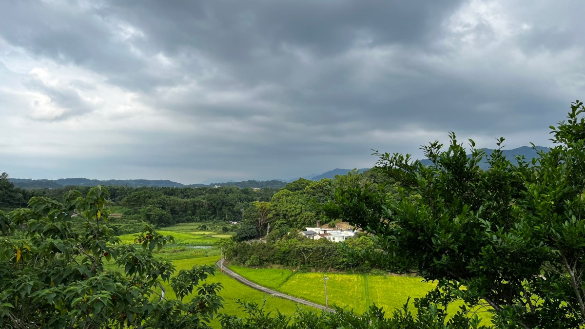小暑：漫步龜山下～峨眉溪水稻的刻畫藝術